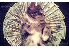 Работа для дeвyшек