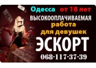 Работа для девушек в сфере VIP-досуга