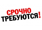 Легальное трудоустройство в Израиле