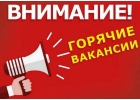 Работа с питанием, проживанием на море