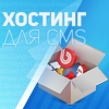 Ищем программиста на партнрскую программу BEGET