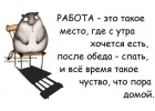удаленно оператором