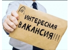 Открыта вакансия, работа удаленная