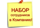 Информационный менеджер интернет проекта
